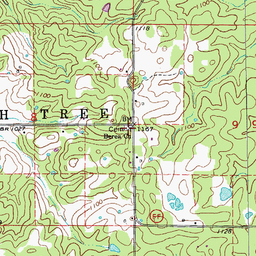 Topographic Map of Berea Church, MO