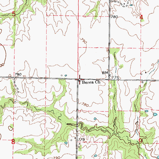 Topographic Map of Berea Church, MO