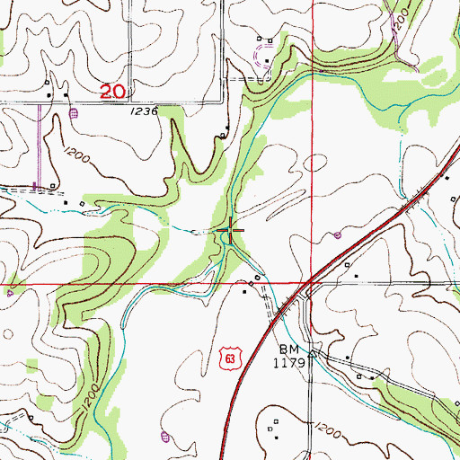 Topographic Map of Berry Branch, MO