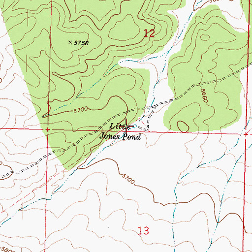 Topographic Map of Little Jones Pond, AZ