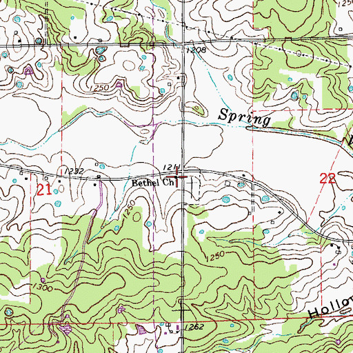 Topographic Map of Bethel Church, MO