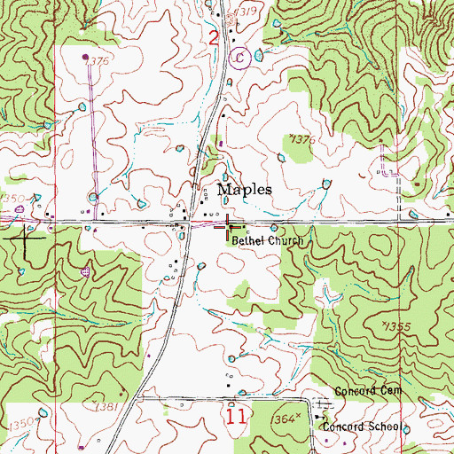 Topographic Map of Bethel Church, MO