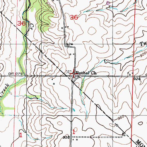 Topographic Map of Bethel Church, MO
