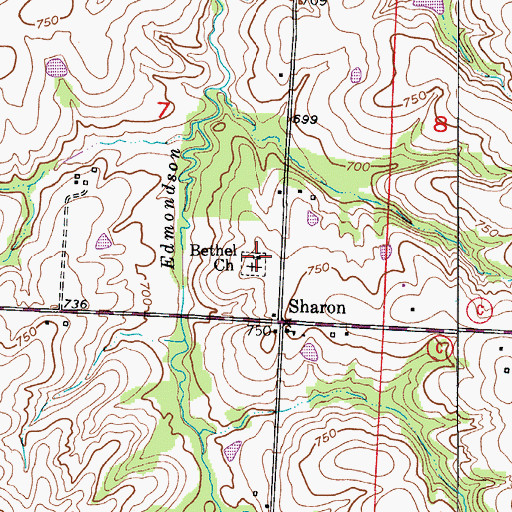 Topographic Map of Bethel Church, MO