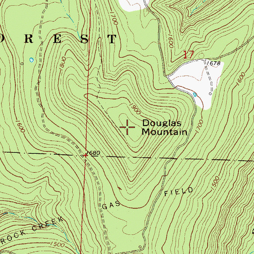 Topographic Map of Douglas Mountain, AR