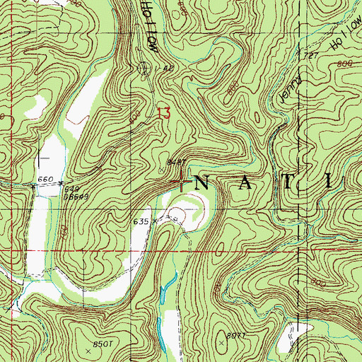 Topographic Map of Betsy Hollow, MO