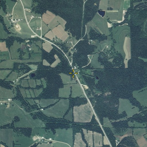 Aerial/Satellite Image of Betts Cemetery, MO
