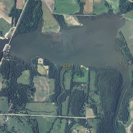 Aerial/Satellite Image of Big Branch, MO