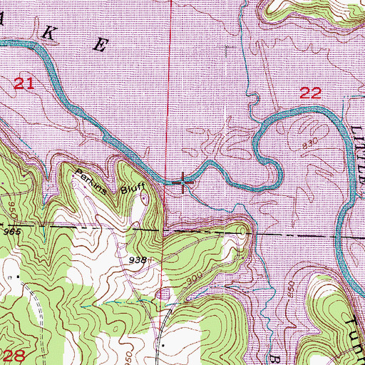 Topographic Map of Big Branch, MO