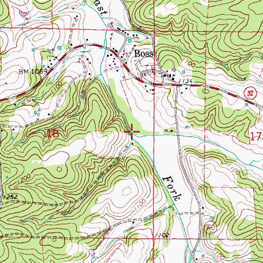 Topographic Map of Big Branch, MO