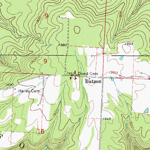 Topographic Map of Dowd Cemetery, AR