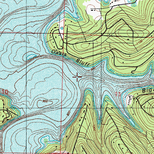 Topographic Map of Big Cedar Hollow, MO