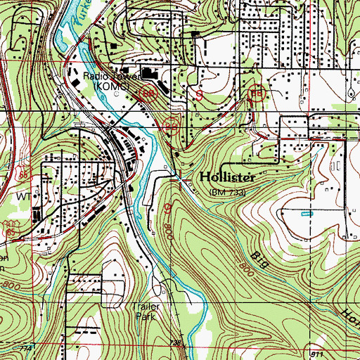 Topographic Map of Big Hollow, MO