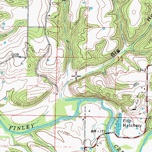 Topographic Map of Big Hollow, MO