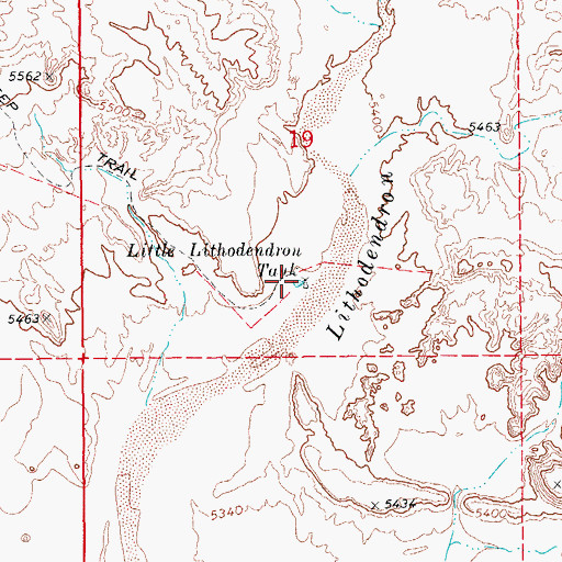 Topographic Map of Little Lithodendron Tank, AZ