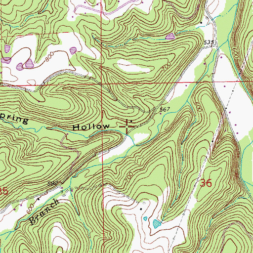 Topographic Map of Big Spring Hollow, MO