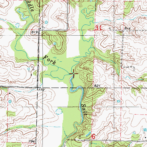 Topographic Map of Billys Branch, MO