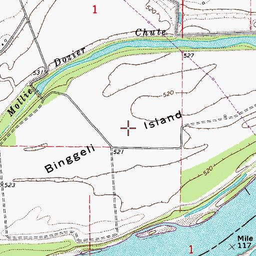 Topographic Map of Binggeli Island, MO