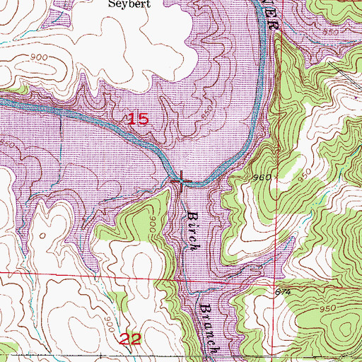 Topographic Map of Birch Branch, MO