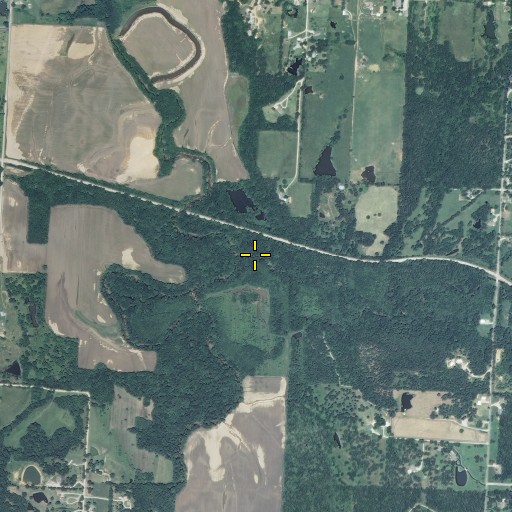 Aerial/Satellite Image of Birch Branch, MO