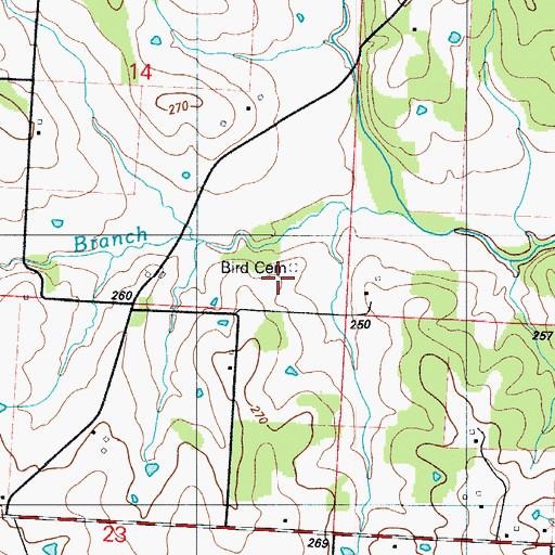 Topographic Map of Bird Cemetery, MO