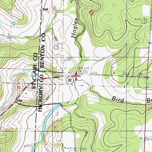 Topographic Map of Bird Hollow, MO