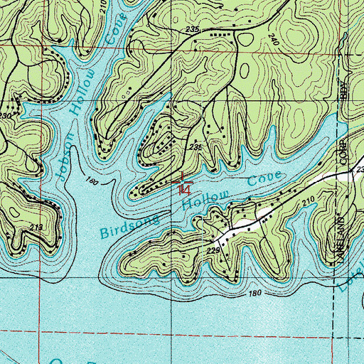 Topographic Map of Birdsong Hollow Cove, MO