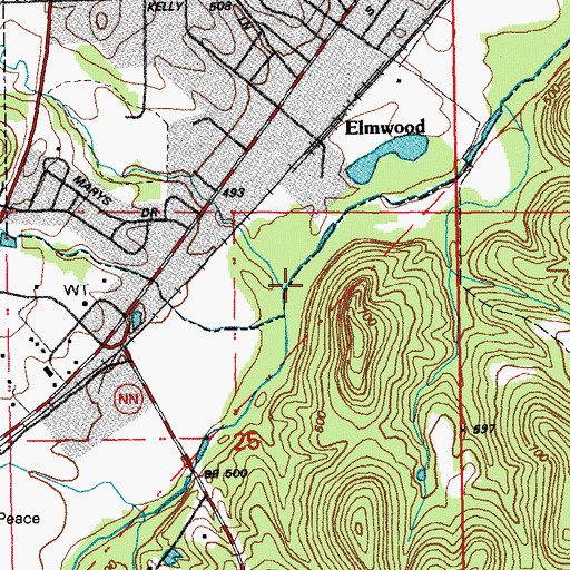 Topographic Map of Bishop Branch, MO