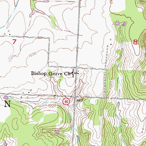 Topographic Map of Bishop Grove Church, MO