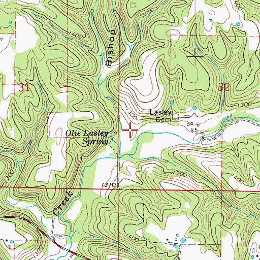Topographic Map of Bishop Hollow, MO