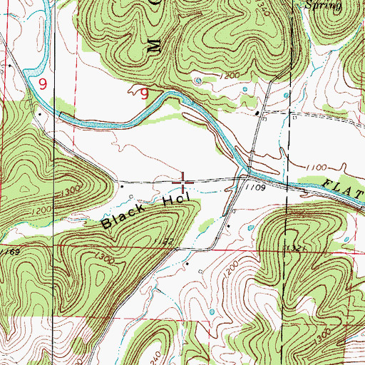 Topographic Map of Black Hollow, MO