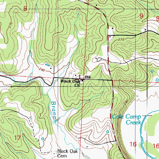 Topographic Map of Black Oak Church, MO