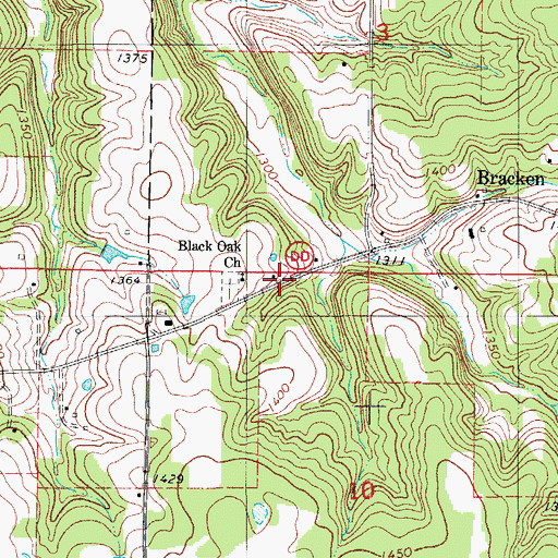 Topographic Map of Black Oak School, MO
