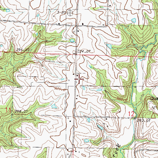 Topographic Map of Black Oak School, MO
