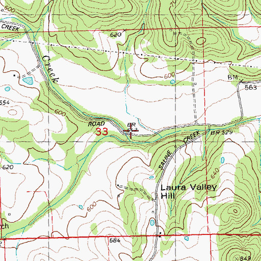 Topographic Map of Bloom Creek, MO