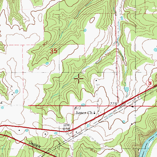 Topographic Map of Bloom Garden School, MO
