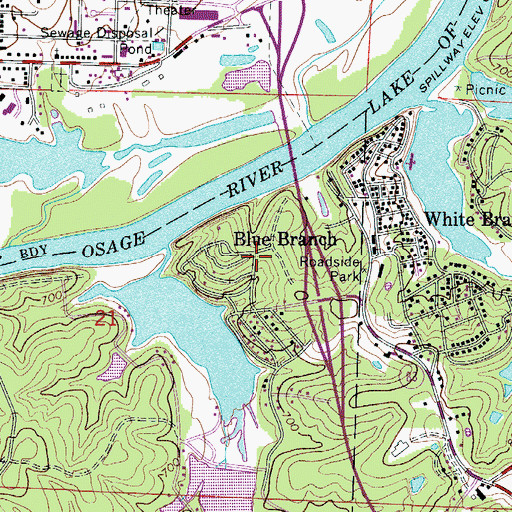 Topographic Map of Blue Branch, MO