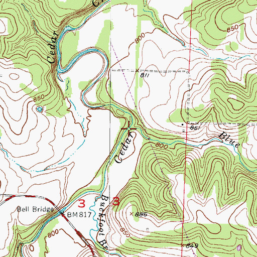 Topographic Map of Blue Branch, MO
