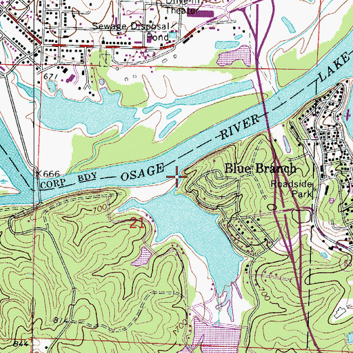 Topographic Map of Blue Branch, MO