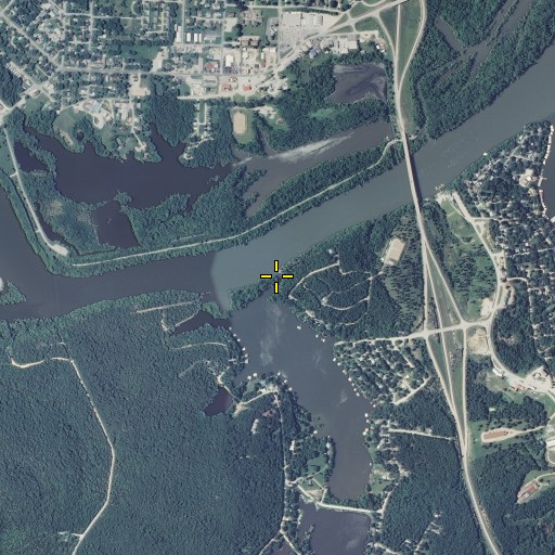 Aerial/Satellite Image of Blue Branch, MO