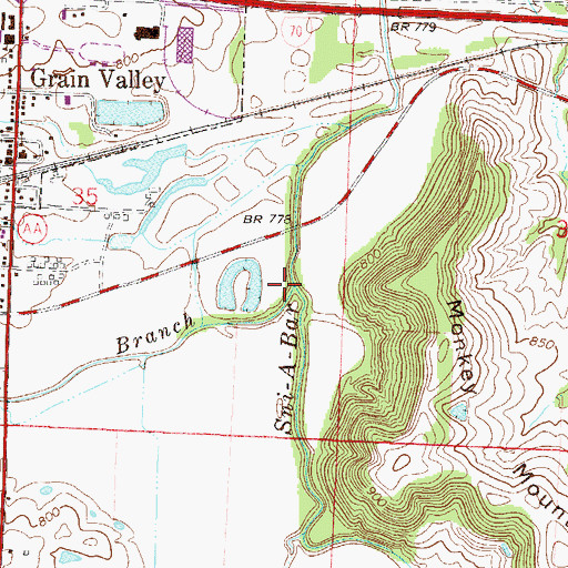 Topographic Map of Blue Branch, MO