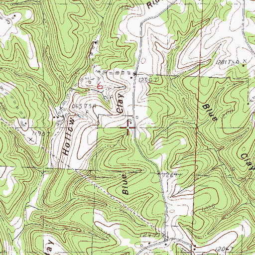 Topographic Map of Blue Clay Ridge, MO