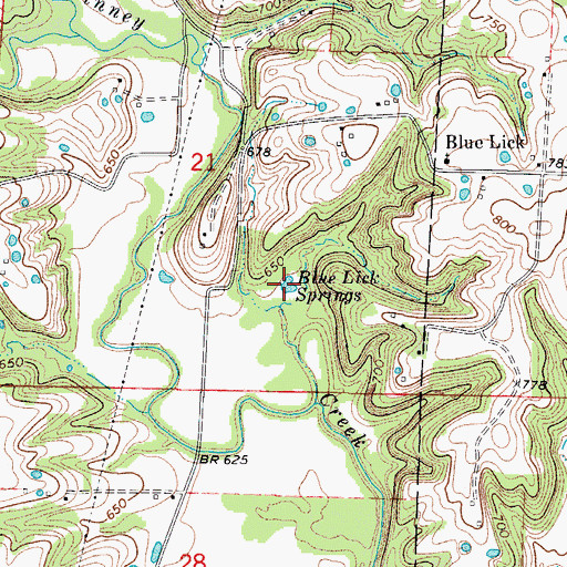 Topographic Map of Blue Lick Springs, MO