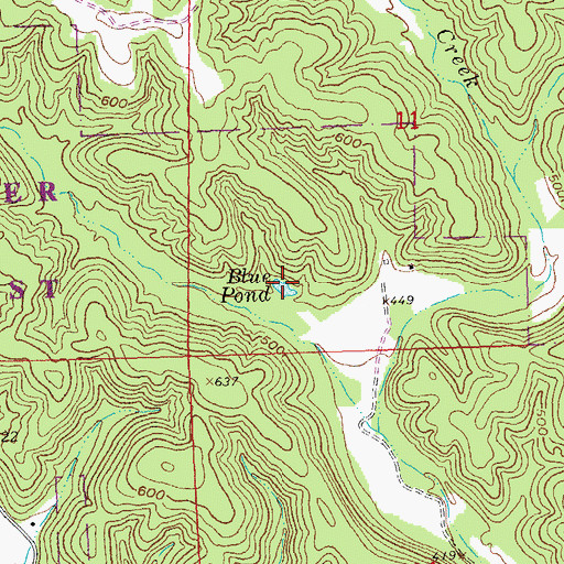 Topographic Map of Blue Pond, MO