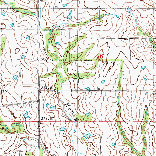Topographic Map of Blue School, MO