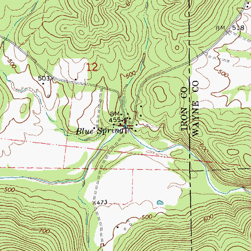 Topographic Map of Blue Spring, MO