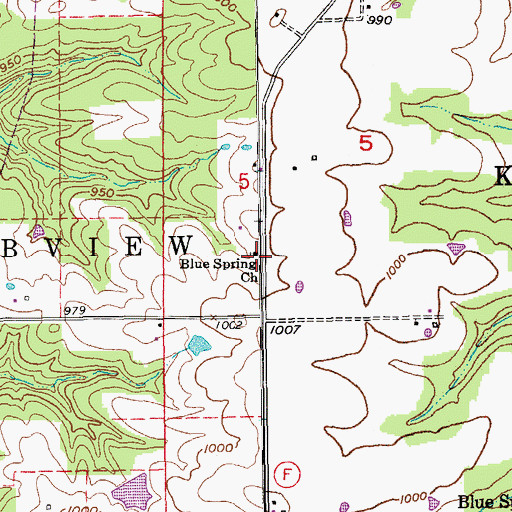 Topographic Map of Blue Spring Church, MO