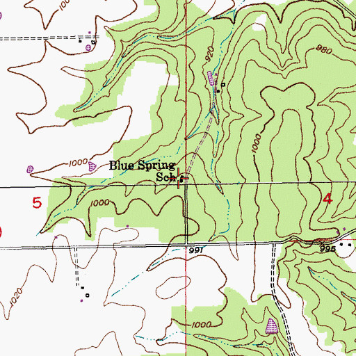 Topographic Map of Blue Spring School, MO