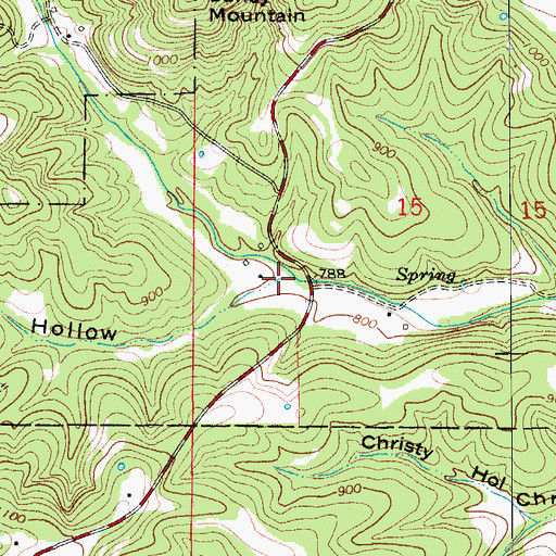 Topographic Map of Board Hollow, MO