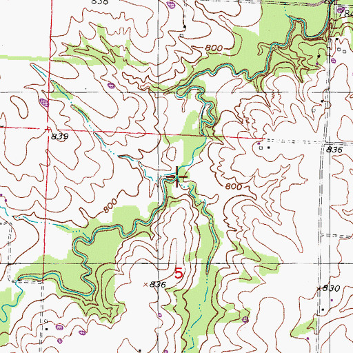 Topographic Map of Boat Branch, MO